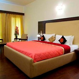 Executive Double or Twin Room